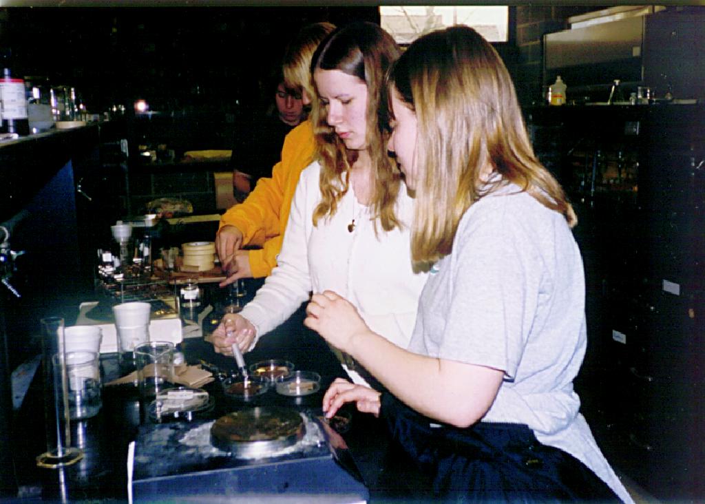 Students conducting a bioassay